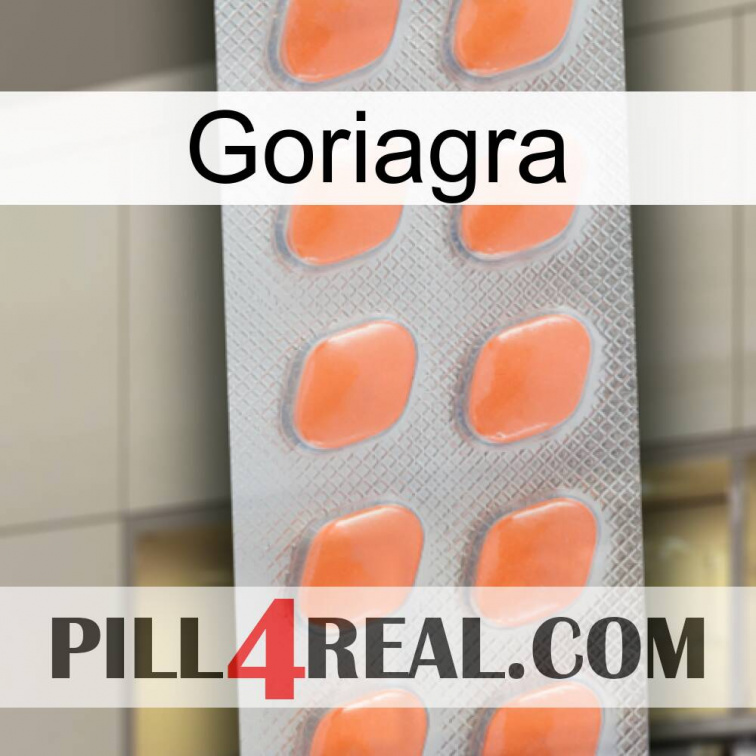 Goriagra 26
